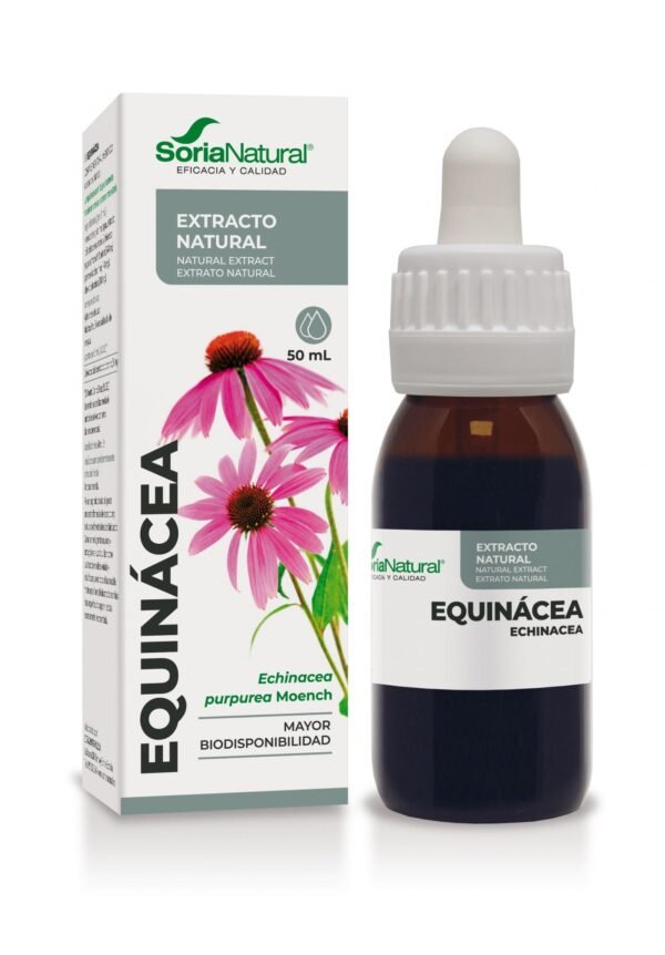 Equinácea Extracto